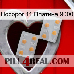 Носорог 11 Платина 9000 25